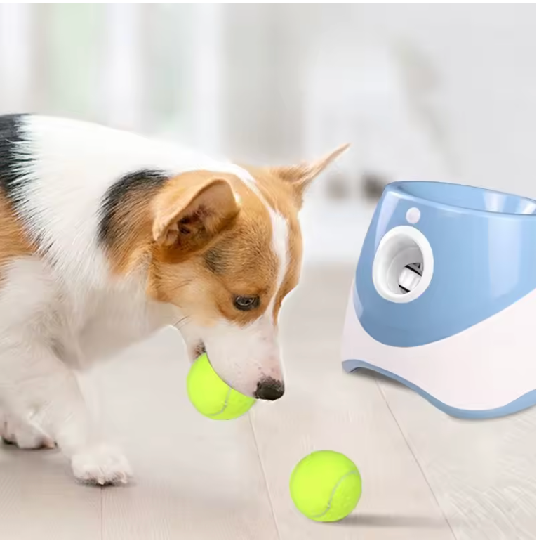 Flingo – Dein Hund. Sein Ball. Immer wieder