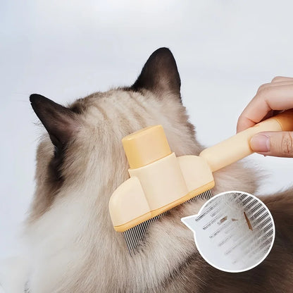 Pawsy - Pfotenliebe in jedem Strich