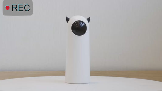 LumiPaw – Das Lichtspiel, das jede Samtpfote begeistert!